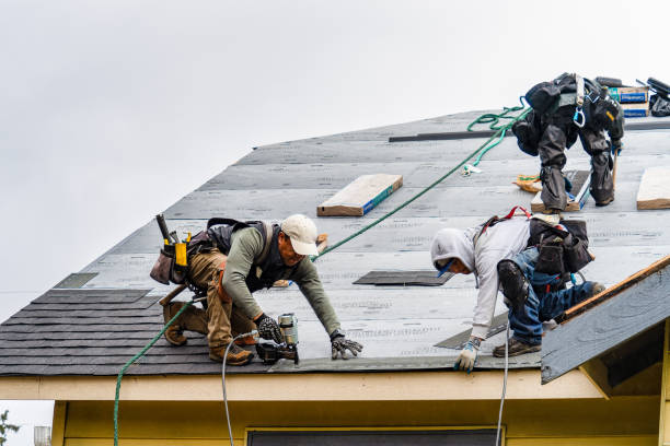 Professional Gutter Installation technician working in Kensington, MN